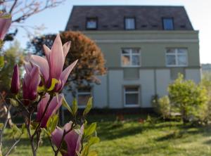 Zahrada ubytování Jagelló Business Hotel