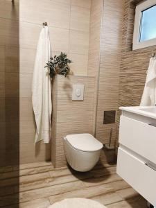 uma casa de banho com um WC e um lavatório em Apartment ”Sand” on island Šolta em Nečujam