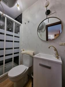 a bathroom with a toilet and a mirror at Estudio Brisa del Poniente Aguadulce in Aguadulce