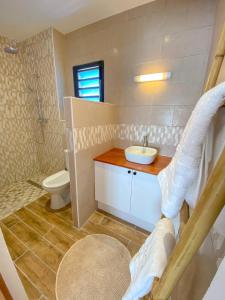 a small bathroom with a sink and a toilet at Gîte le Fouquet in Cilaos