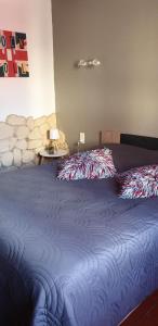 CoursanにあるLocation saisonnièreのベッドルーム1室(大型ベッド1台、青い毛布付)
