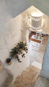 オストゥーニにあるTulipano Biancoの白い部屋(テーブル、植物付)
