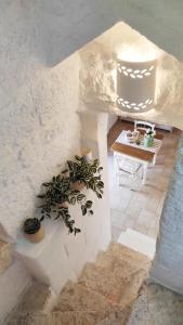 a white room with a table and a plant at Tulipano Bianco in Ostuni