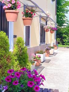une rangée de pots de fleurs sur un bâtiment avec des fleurs dans l'établissement One bedroom house with sea view enclosed garden and wifi at Canosa Sannita, à Canosa Sannita
