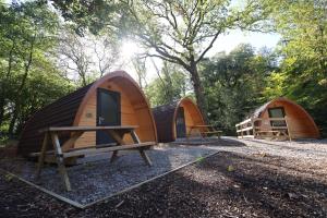a group of three small tents in a forest at Ghyll Head Hive Pod Village & Accessible Bungalow in Winster