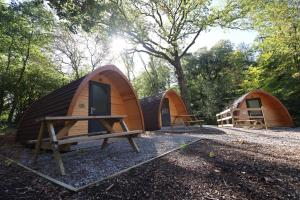 a group of three small tents in a forest at Ghyll Head Hive Pod Village in Winster