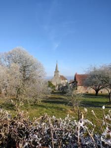 eine alte Kirche auf einem Feld mit Bäumen in der Unterkunft La maison d'Auguste in Blaudeix