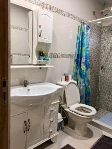 a bathroom with a sink and a toilet and a shower at Casa Bignonia Amplio y confortable Ideal para familias con niños y mascotas in Ciudad del Este