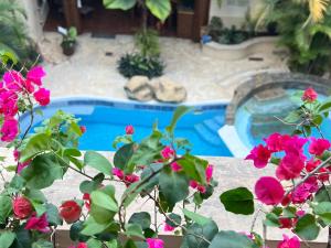 Gallery image of Hotel Quinta Maya in Flores +72 photos