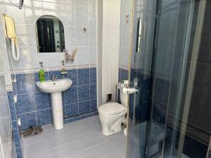 Un baño de SARVAR