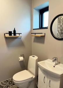 uma casa de banho com um WC, um lavatório e um espelho. em Denmark Outdoor Lodge em Ebberup