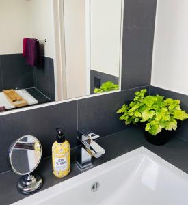 ein Badezimmer mit einem weißen Waschbecken und einem Spiegel in der Unterkunft BeauVenue in Veurne