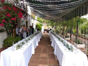 une rangée de tables avec du linge de maison blanc et des plantes dans l'établissement 7 bedrooms villa with private pool furnished garden and wifi at Malaga, à Malaga