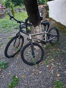 a bike is parked next to a tree at Plavoukos'house in Kótronas
