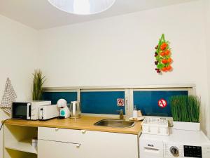 eine Küchentheke mit einer Spüle und einer Mikrowelle in der Unterkunft Guest House Leo in Alicante
