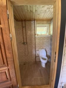 a small bathroom with a toilet and a shower at Pelėdų Namelis in Šlaveitai