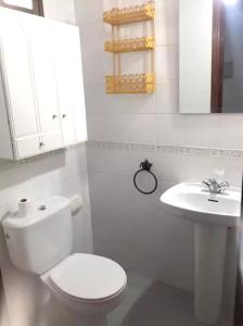 La salle de bains blanche est pourvue de toilettes et d'un lavabo. dans l'établissement 3 bedrooms house with city view at Cordoba, à Cordoue