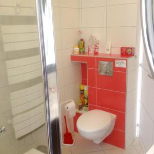 uma pequena casa de banho com WC e chuveiro em Maison d'une chambre avec jardin clos et wifi a Auch em Auch