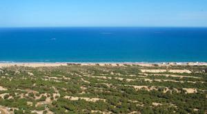 an aerial view of a beach and the ocean at 2 bedrooms apartement with city view and furnished balcony at Guardamar del Segura 1 km away from the beach in Guardamar del Segura