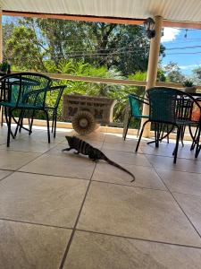 Balkón nebo terasa v ubytování Hospedaje Colibri