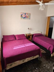 老虎城的住宿－Departamento céntrico en Tigre，紫色床单的客房内的两张床