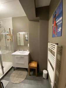 La salle de bains est pourvue d'un lavabo et d'une douche. dans l'établissement Les Quatre Piliers - 1 min Palais Jacques Cœur, à Bourges