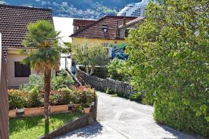a garden with a palm tree and a building at Apartmani F&M in Kotor