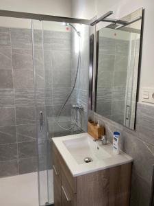 een badkamer met een wastafel en een douche met een spiegel bij El Payarin tu casa apartamento en Asturias in Bárzana