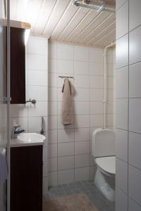 a bathroom with a toilet and a sink at Villa Moisio - puutaloidylliä Salon keskustassa in Salo +23 photos