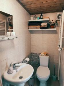 een badkamer met een wastafel en een toilet bij Kikety Paradise in Kiketʼi