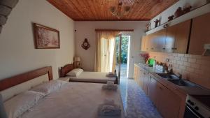 Habitación con cama, lavabo y cocina. en Honey-House “Kastrioti” en Përmet