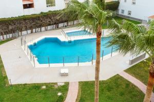 una vista aérea de una piscina con una palmera en Plazamar2, en Torre del Mar