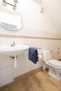 a bathroom with a sink and a toilet and a mirror at Apartmán v lokalitě statku ve Vrhavči in Vrhaveč