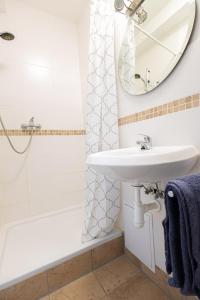 a bathroom with a sink and a mirror at Apartmán v lokalitě statku ve Vrhavči in Vrhaveč