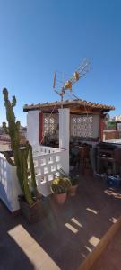 a rooftop with a wind turbine and plants on a roof at Casa Chato Casita San Roque in Alicante
