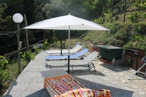 A garden outside Villa Maremonti - con 3 piscine
