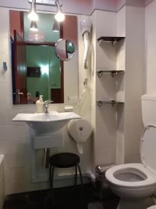 La salle de bains est pourvue d'un lavabo, de toilettes et d'un miroir. dans l'établissement Faria Guimaraes-Porto Centro 1, à Porto