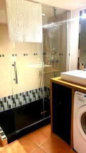 a bathroom with a shower and a washing machine at Logement avec deux velos in Hyères