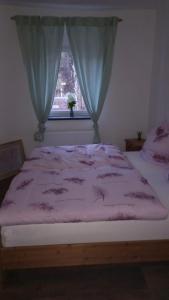 a bed with a pink comforter and a window at mecklenburgerseenplatt 2 in Teschendorf