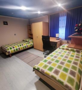 1 Schlafzimmer mit 2 Betten und einem Schreibtisch mit einem Computer in der Unterkunft Apartment Sopar in Škofja Loka