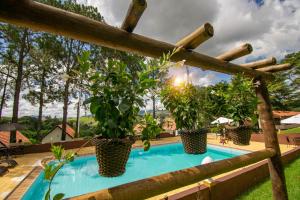einen Pool mit Topfpflanzen und einem Zaun in der Unterkunft Hotel Dona Paschoalina in Socorro