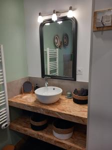 y baño con lavabo y espejo. en Location Studio indépendant avec terrasse ,les vignes d'élian, en Saint-Médard-en-Jalles