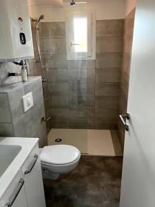 y baño pequeño con aseo y ducha. en Appartement T2 cosy à San ciprianu en Lecci