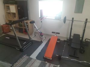 pokój z siłownią z bieżnią i sprzętem do ćwiczeń w obiekcie Studio w zabytkowej kamienicy w mieście Gdynia