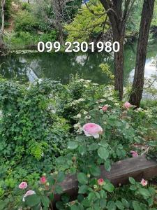 Zahrada ubytování Gospic Riverside Apartment