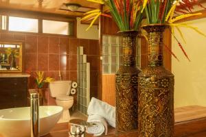 Tilarán的住宿－Gateway to Paradise，浴室的柜台上有两个大花瓶