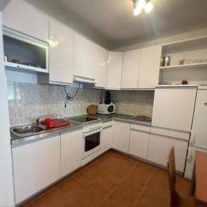 Кухня або міні-кухня у Apartman Boka Savina