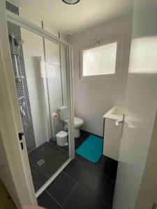 La petite salle de bains est pourvue d'une douche et de toilettes. dans l'établissement Maison - Terrasse - Jardin, à Préchacq-les-Bains