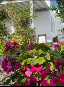 Un mazzo di fiori rosa davanti a una casa di Alesta a Aggelika