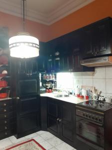 Kuchyň nebo kuchyňský kout v ubytování VILA SREM